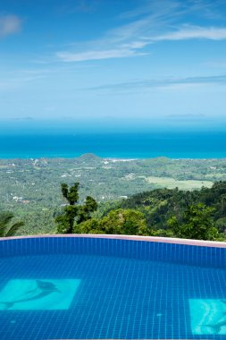 Hindistan cevizi ağaçları ile Yüzme Havuzu