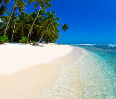 plaj ve tropikal deniz