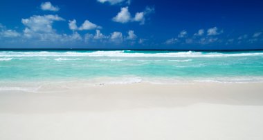 plaj ve tropikal deniz