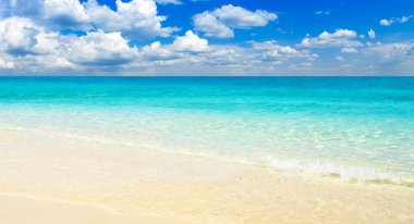 plaj ve tropikal deniz