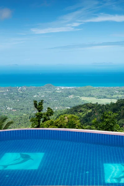 Swimming pool with coconut trees — Stock Photo, Image