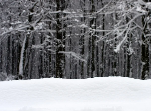 Vinter bakgrund med snö — Stockfoto