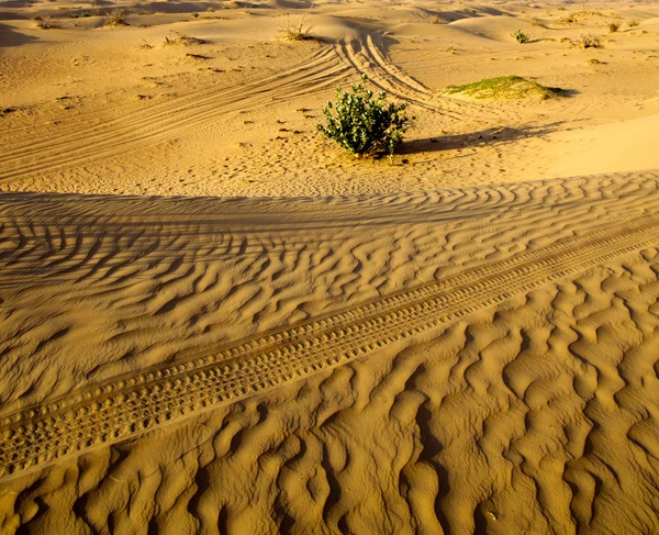 Paesaggio deserto d'oro — Foto Stock