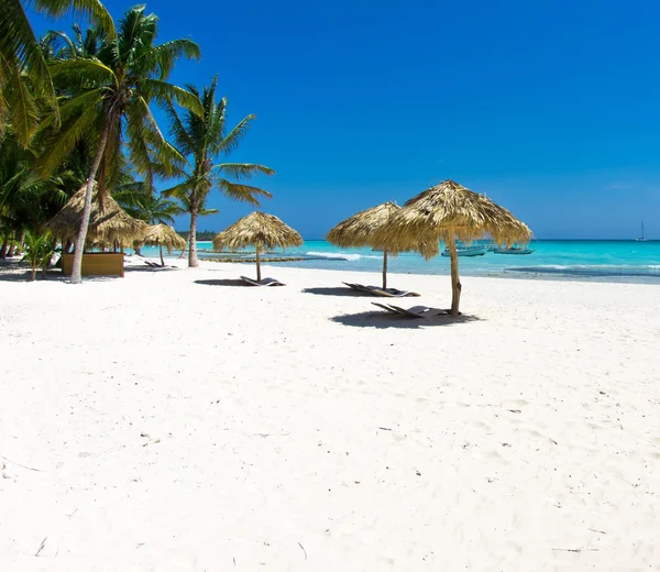 Playa del Caribe y árboles — Foto de Stock