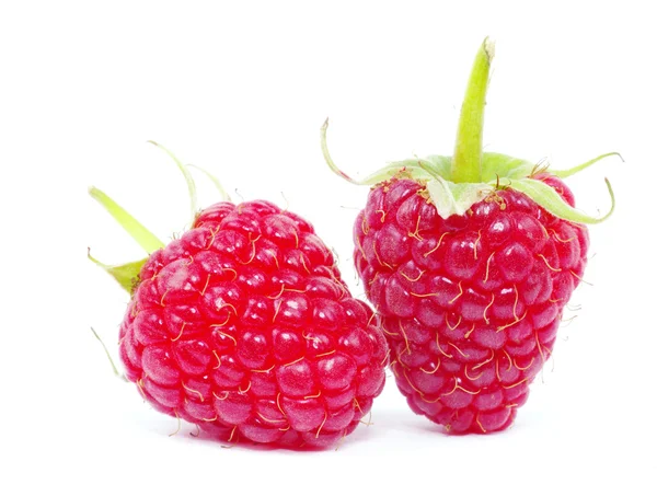 Frische rote Himbeeren — Stockfoto