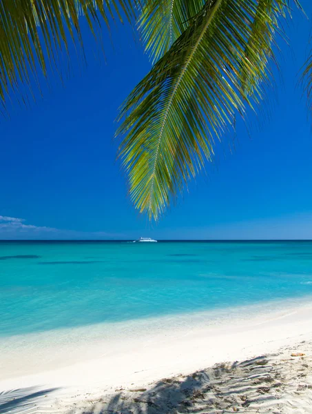 Playa y mar tropical — Foto de Stock