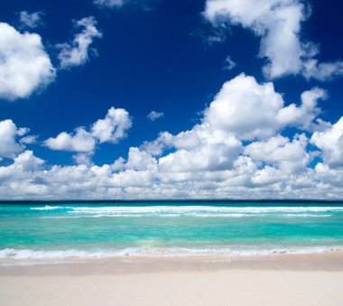 tropikal deniz ve mavi gökyüzü