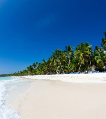 tropikal deniz ve mavi gökyüzü