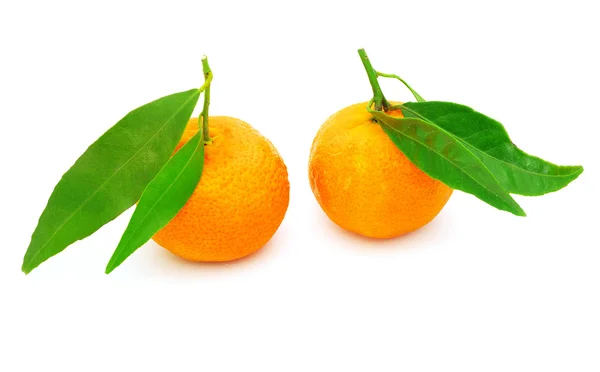 Fresh  tangerines fruits — Stock Photo, Image