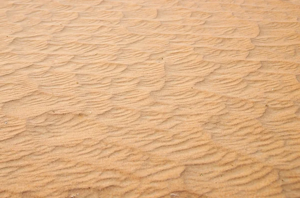 Gold desert sand texture — Stock Photo, Image