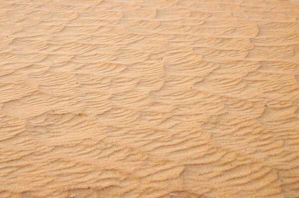 Gold desert sand texture