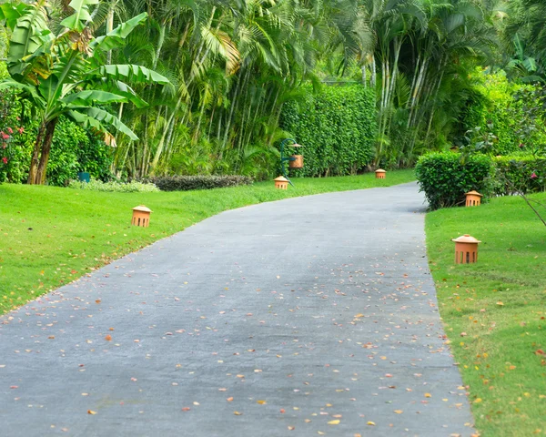 Garden stone path with grass — Stock Photo, Image