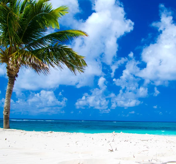 Beach and tropical sea — Stock Photo, Image