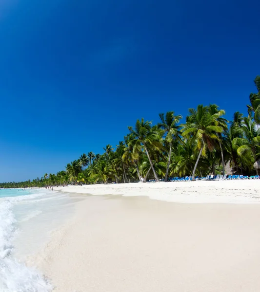 Tropické moře a modrá obloha — Stock fotografie