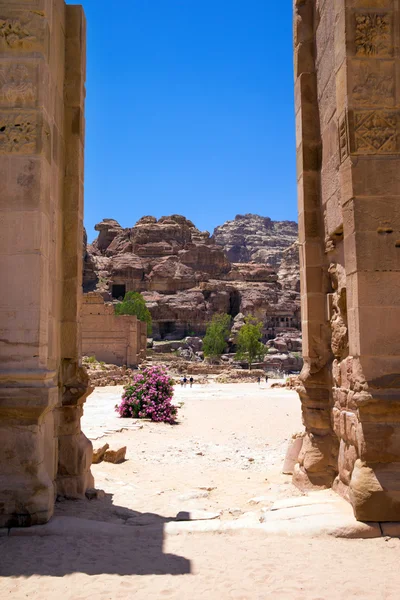 Petra kırmızı kaya oluşumları — Stok fotoğraf