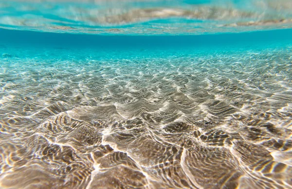 Tranquila escena submarina — Foto de Stock