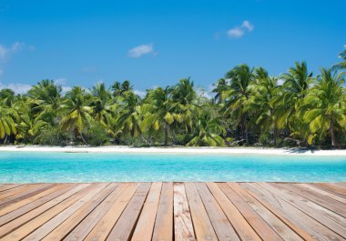 plaj ve tropikal deniz