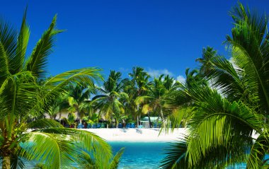 plaj ve tropikal deniz