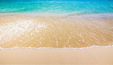 plaj ve tropikal deniz