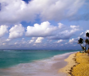 plaj ve tropikal deniz