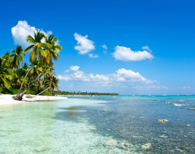 plaj ve tropikal deniz