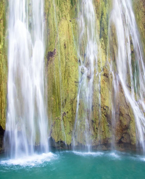 Waterfall in  green forest — Stock Photo, Image