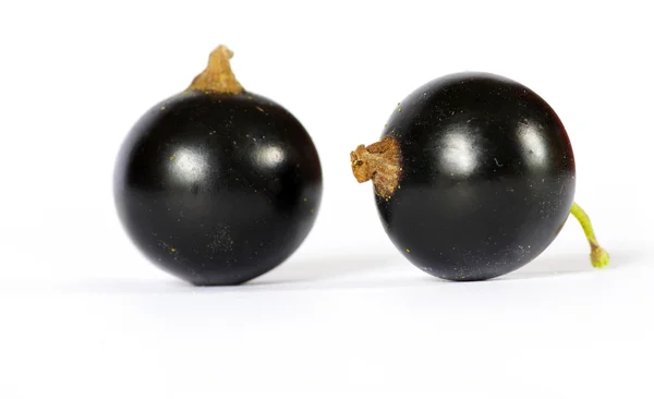 Ягоди чорної смородини — стокове фото