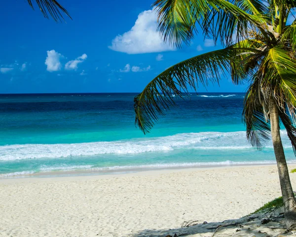 Beach and tropical sea — Stock Photo, Image