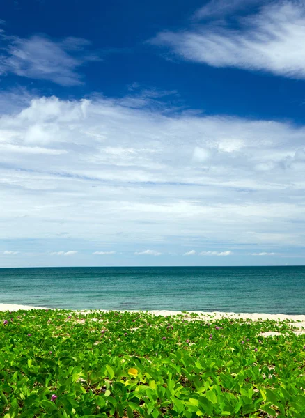 Mer tropicale et ciel — Photo