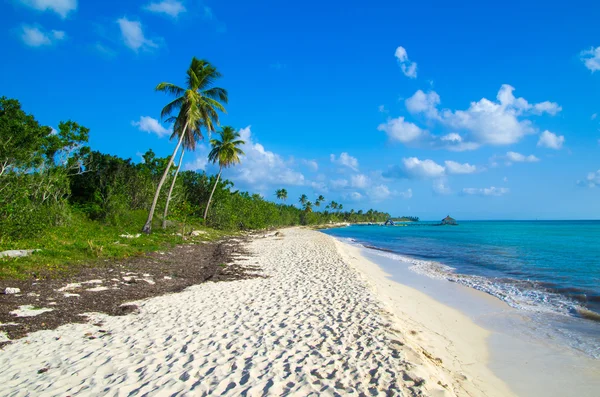 Beach and tropical sea — Stock Photo, Image