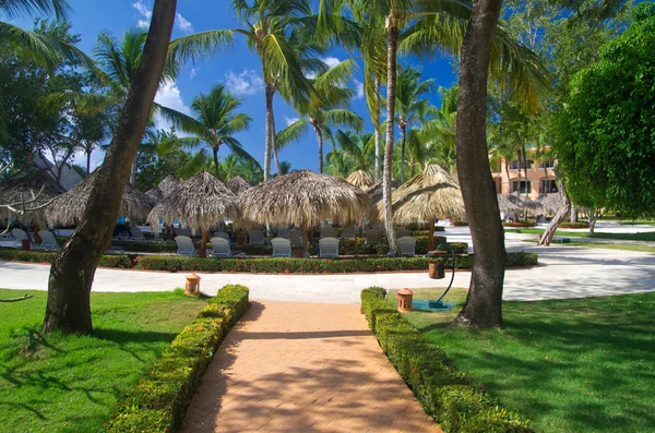 Jardín verde con hierba — Foto de Stock