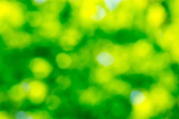 Yeşil doğal renkli — Stok fotoğraf
