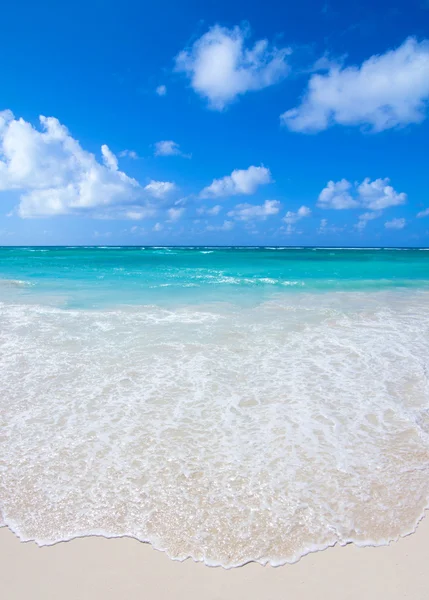 Beach and tropical sea — Stock Photo, Image