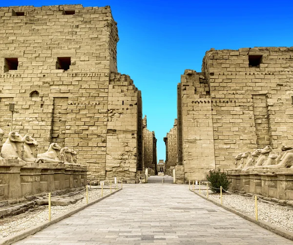 Oude ruïnes van karnak — Stockfoto