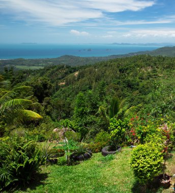 Yeşil bahçe çim ile