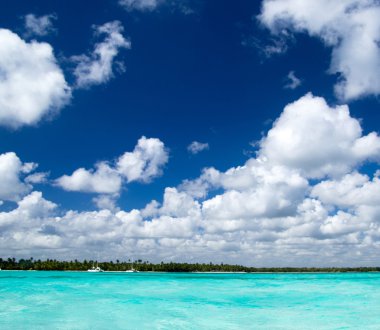 tropikal deniz ve mavi gökyüzü
