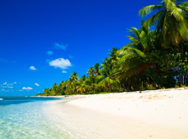 Deniz plajı ve mavi gökyüzü