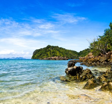 plaj ve tropikal deniz