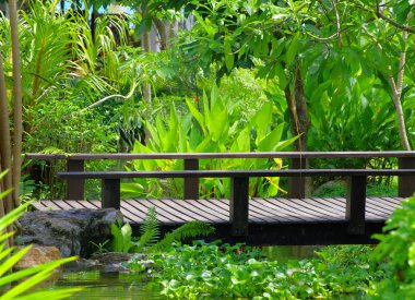 Çimenli bahçe taşı yolu