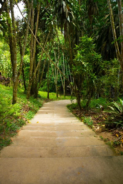 Giardino sentiero di pietra — Foto Stock