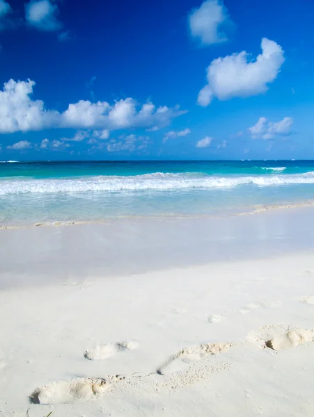 Spiaggia tropicale dei Caraibi — Foto Stock