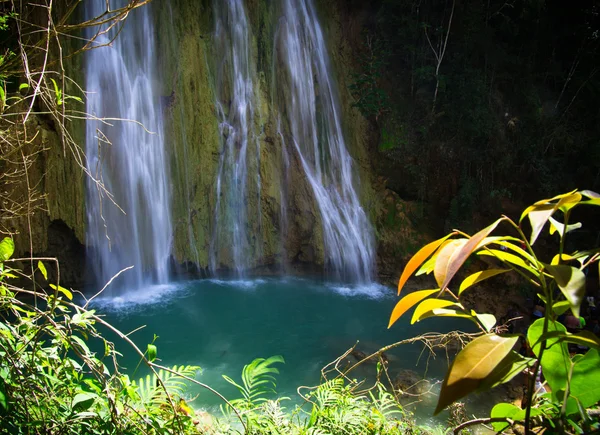 Cascada en bosque verde —  Fotos de Stock