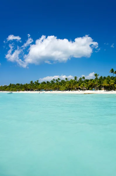 Beach and tropical sea — Stock Photo, Image