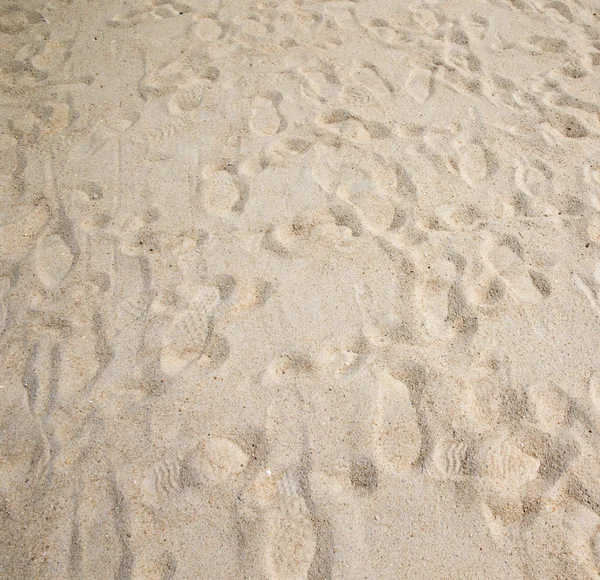 Shot of coral sand — Stock Photo, Image