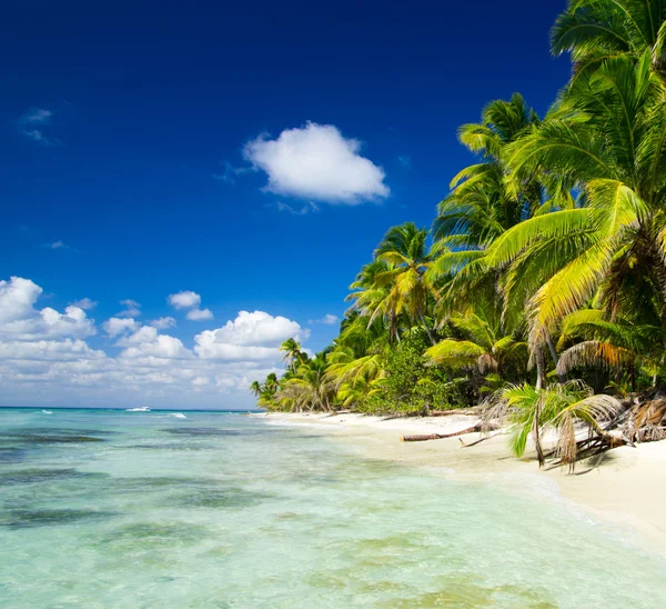 Playa y mar tropical — Foto de Stock