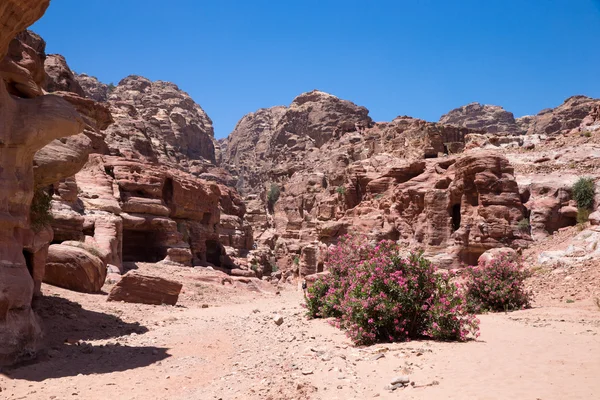 Bergformationer i Petra — Stockfoto