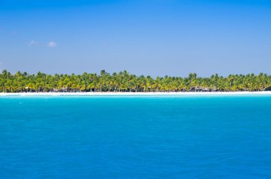 Tropikal deniz ve deniz