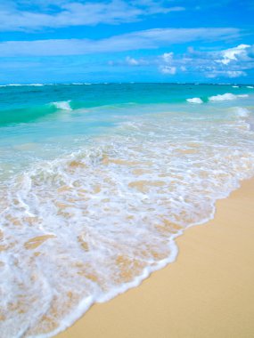 plaj ve tropikal deniz