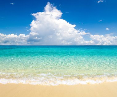 plaj ve tropikal deniz