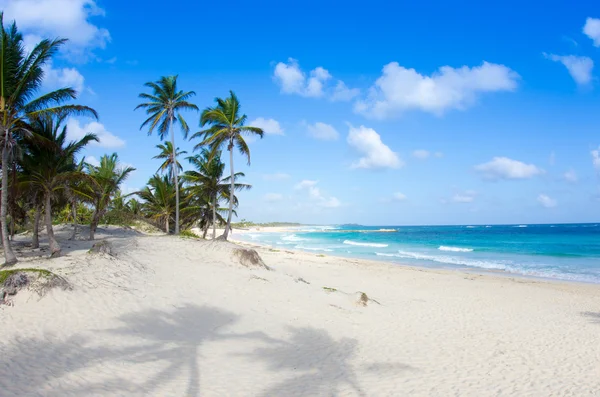 Beach and tropical sea — Stock Photo, Image